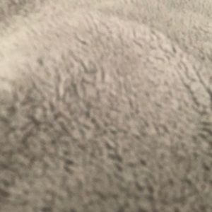 Meet your Posher, Tara